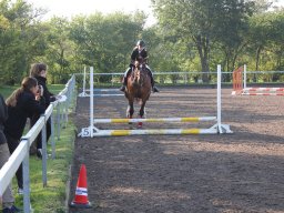 img_0113_web